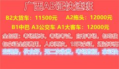 怀化增驾B1A1A3驾校 怀化学A1B1客车A3公交车