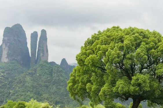 衢州旅游景点大全排名