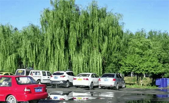 银川同力驾校训练场