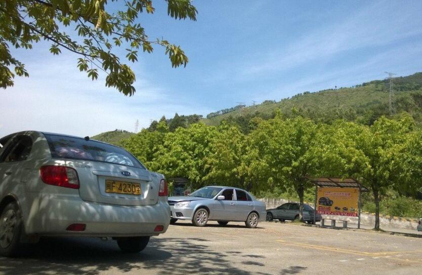 龙岩驾校哪个比较好
