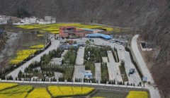 陇南鑫城驾校-鑫城驾校训练场-报名费